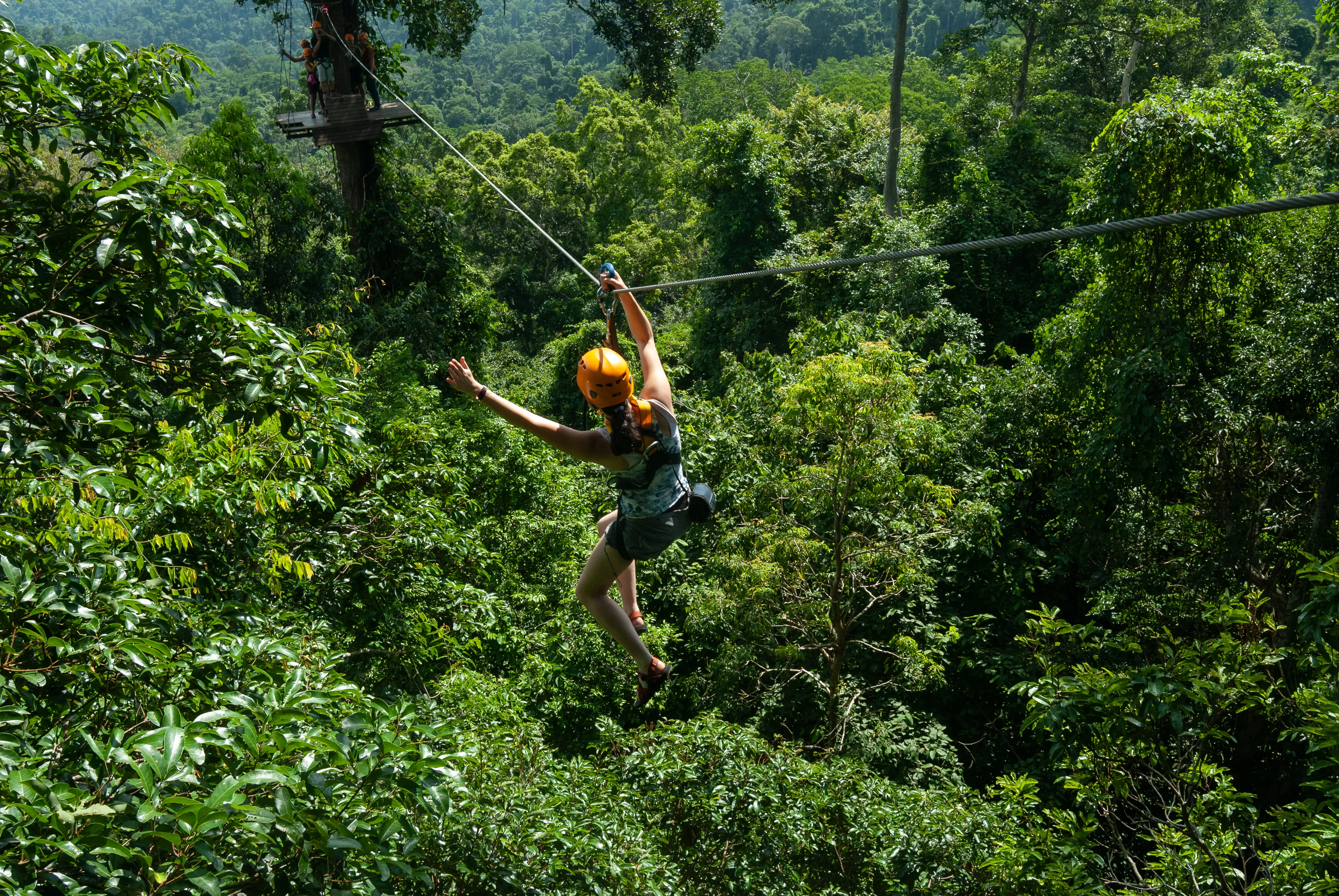 Canopy / Zipline image 1