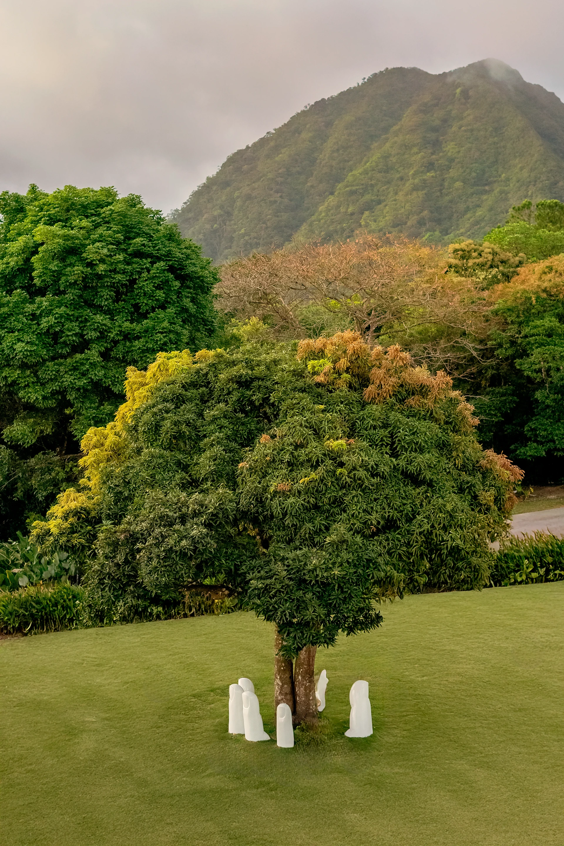 Sculpture Park image 12